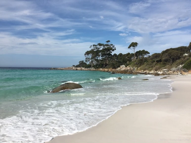 2016-11-21_at_14.56.20.jpg?type=w773