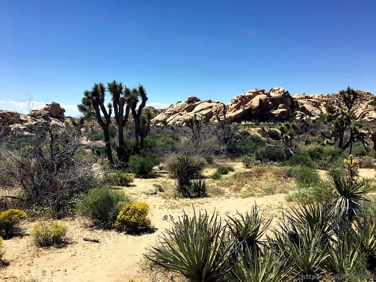 2017-05-05_at_06.07.52.jpg?type=w773