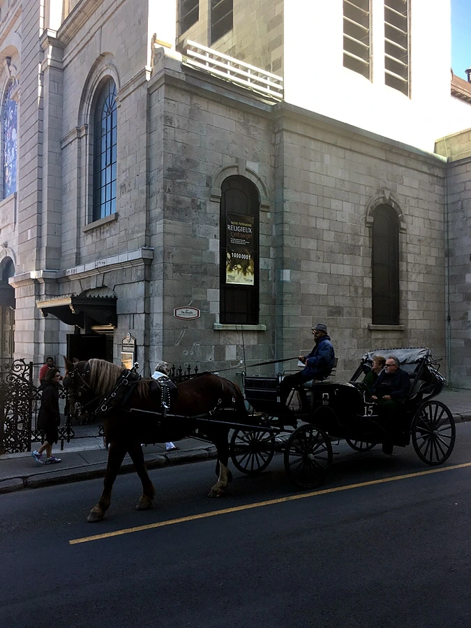 2017-10-03_at_01.19.59.jpg?type=w773