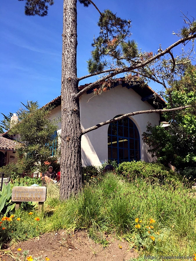 2017-05-03_at_07.11.41.jpg?type=w773