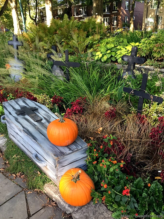 2017-10-03_at_22.21.26.jpg?type=w773