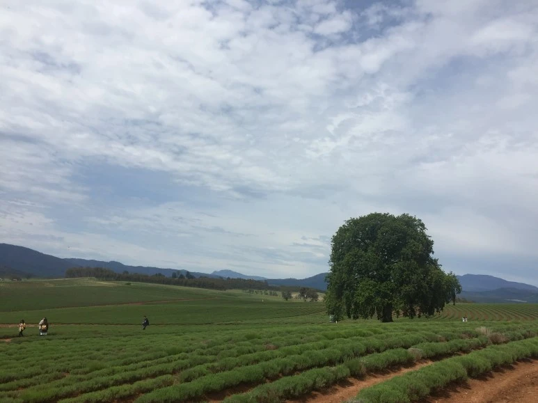 2016-11-21_at_09.31.43.jpg?type=w773