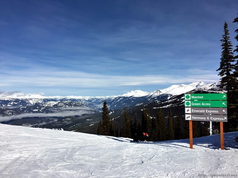 2016-02-09_at_05.24.03.jpg?type=w773