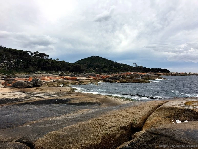 2016-11-22_at_08.19.52.jpg?type=w773