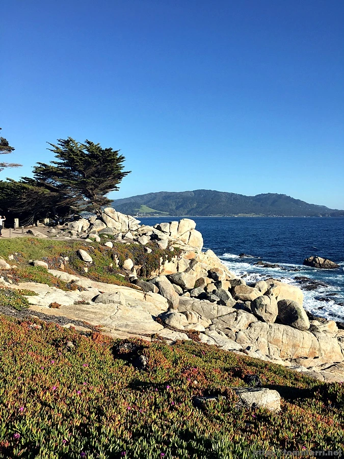 2017-05-02_at_10.21.35.jpg?type=w773