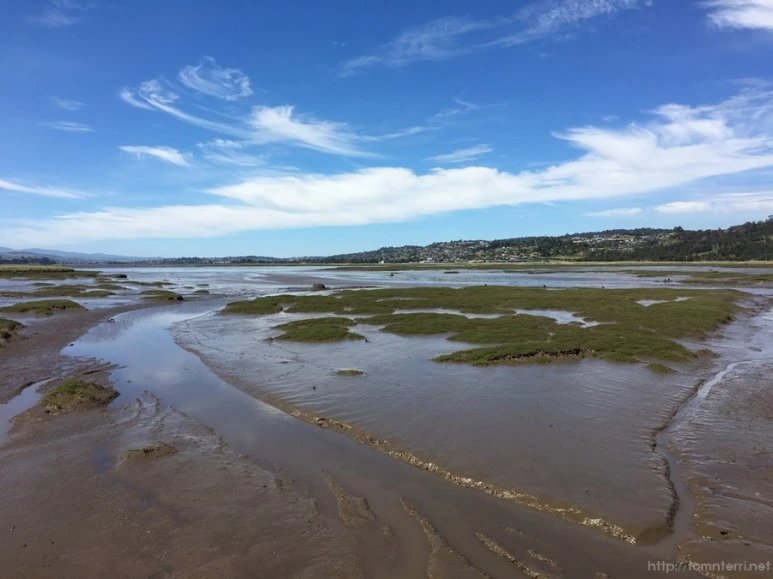 2016-11-20_at_09.33.51.jpg?type=w773