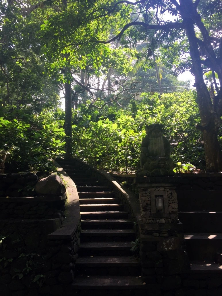 image_6780568221476019059032.jpg?type=w773