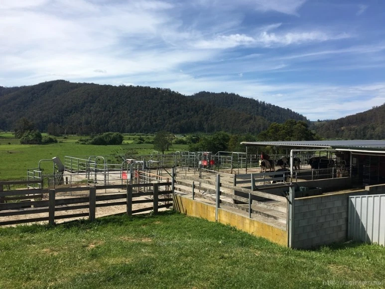 2016-11-21_at_13.42.24.jpg?type=w773