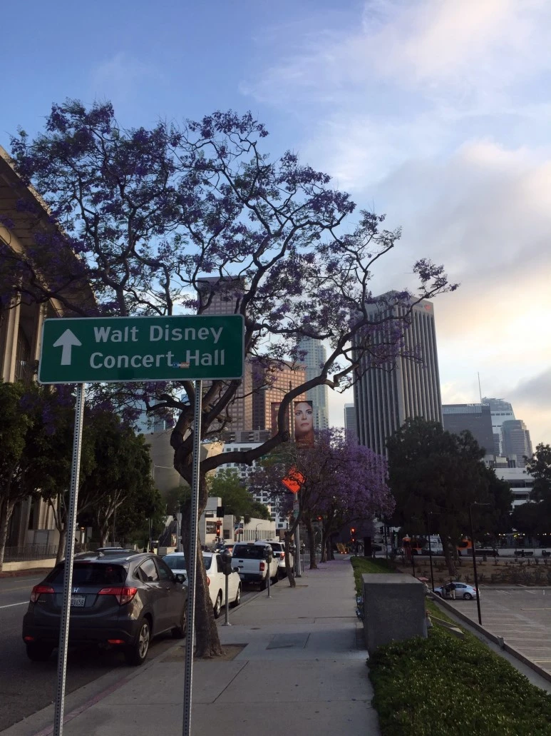 image_1208867031502005999752.jpg?type=w773