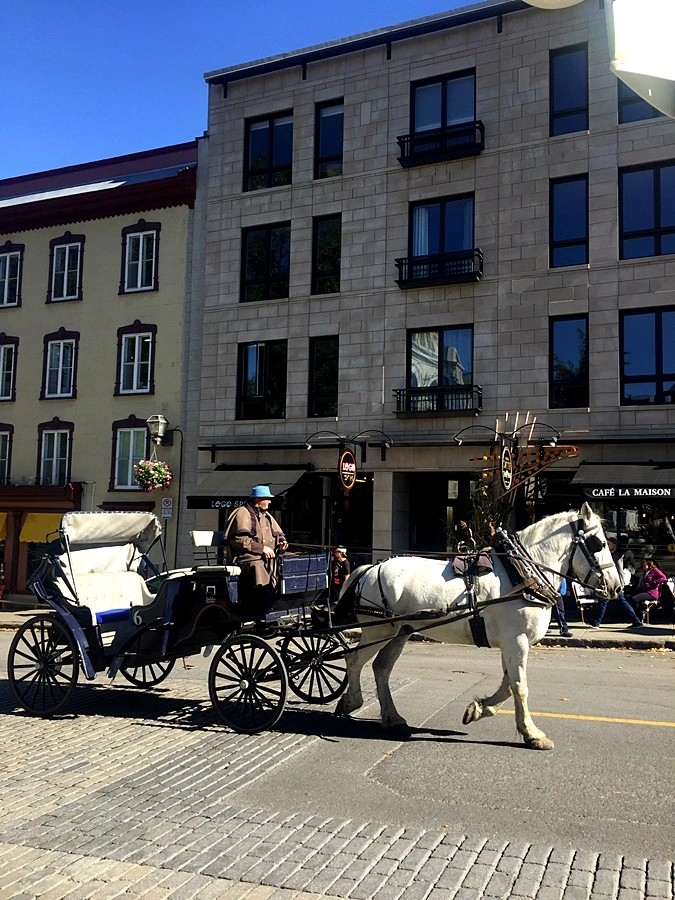 2017-10-03_at_01.48.00.jpg?type=w773