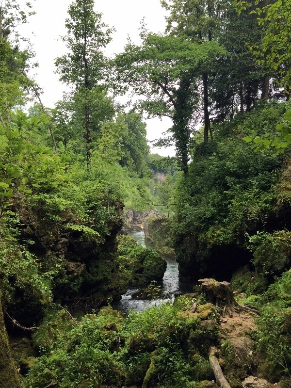 image_5338443811469326596588.jpg?type=w773