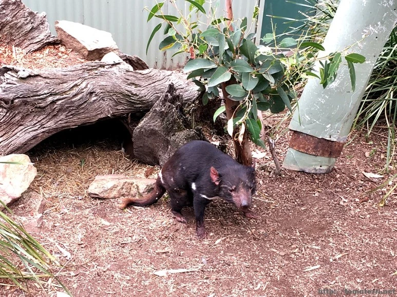 2016-11-25_at_08.43.08.jpg?type=w773