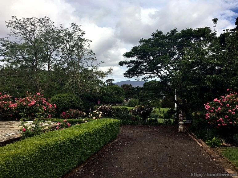 2016-11-23_at_16.08.54.jpg?type=w773