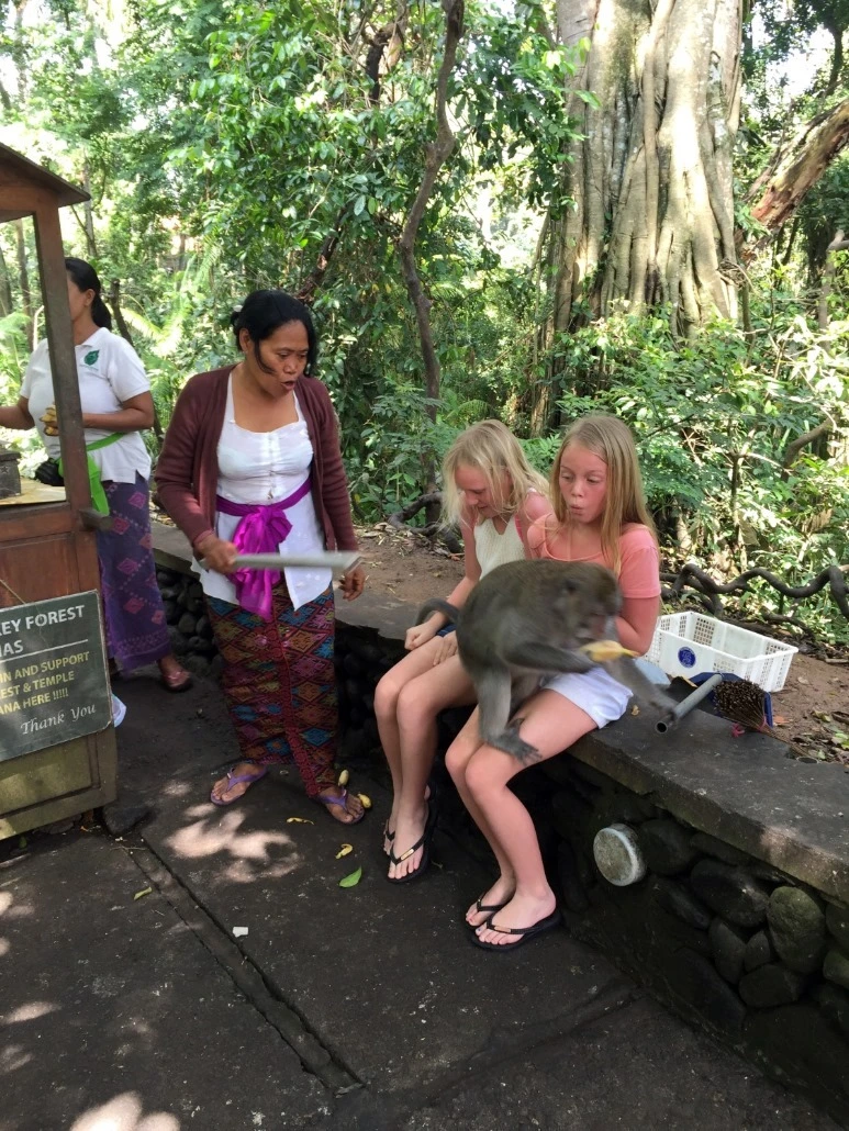 image_3452101051476019059052.jpg?type=w773