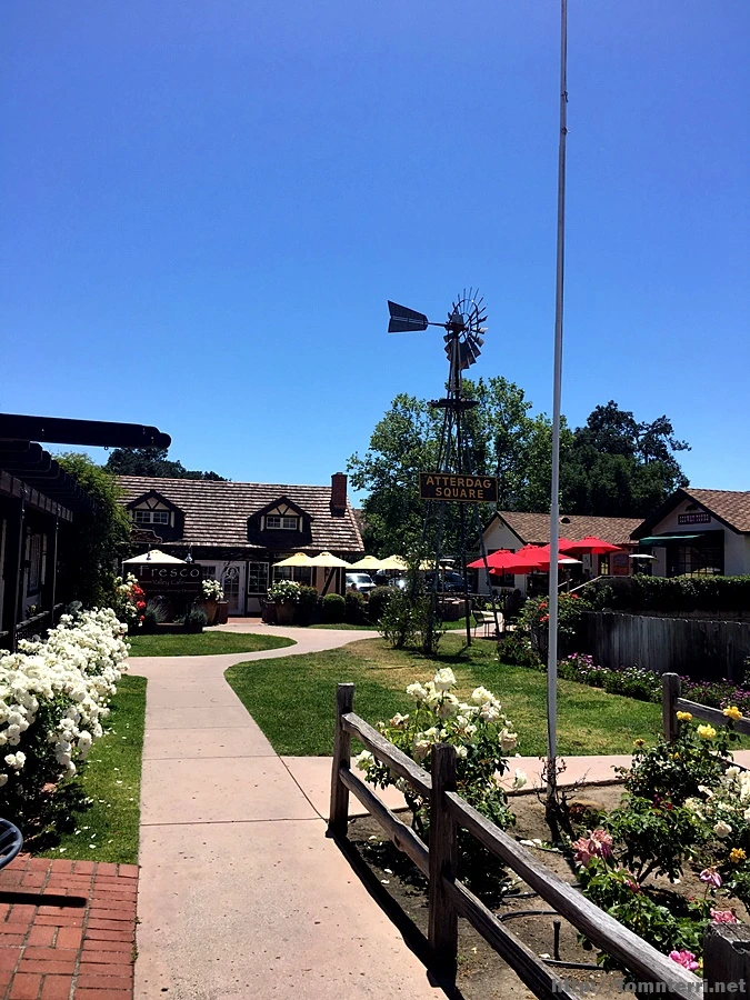 2017-05-04_at_05.40.25.jpg?type=w773