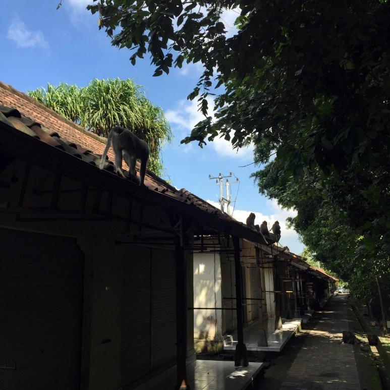 image_7452738571476019059038.jpg?type=w773