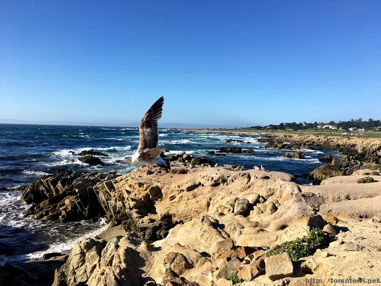 2017-05-02_at_09.54.43.jpg?type=w773