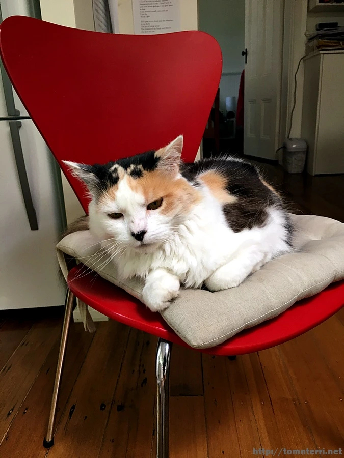 2016-11-24_at_07.21.17.jpg?type=w773