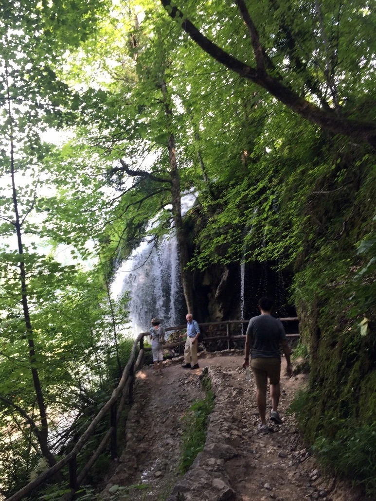 image_8921674541469329565559.jpg?type=w773