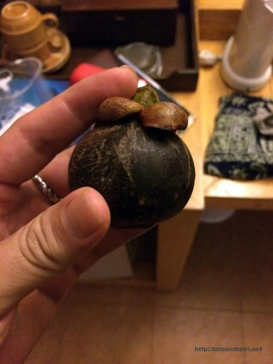 2015-07-17_at_23.41.34.jpg?type=w2