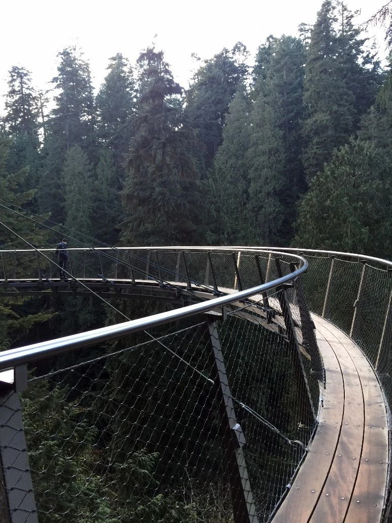 image_1554233461469348818420.jpg?type=w773