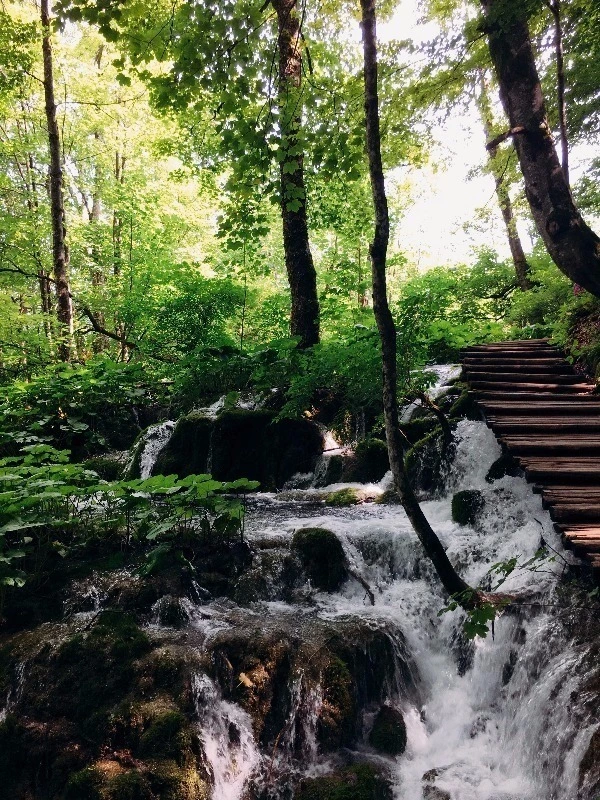 image_6352403671469328724847.jpg?type=w773