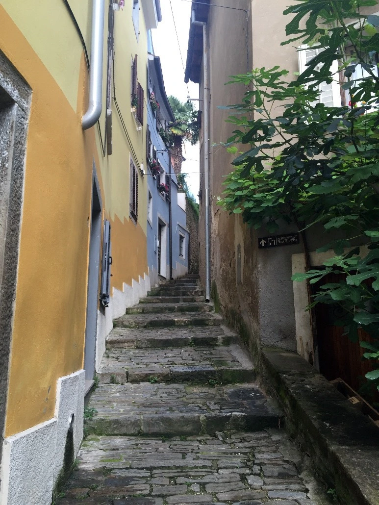 image_8624942741467468802031.jpg?type=w773