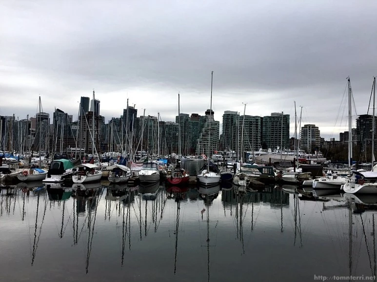 2016-02-08_at_06.03.28.jpg?type=w773