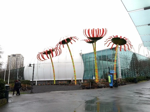 image_3844703991469353215605.jpg?type=w773