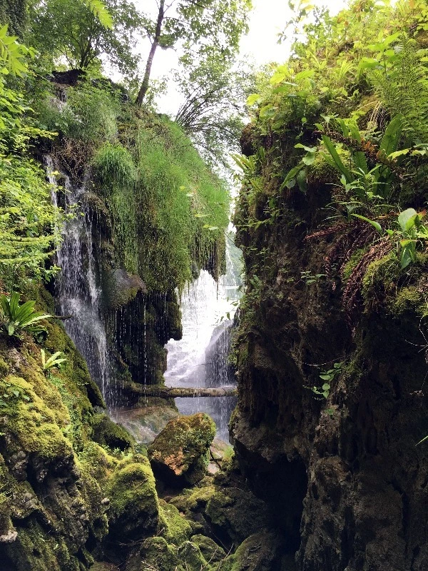 image_4799527461469326596588.jpg?type=w773