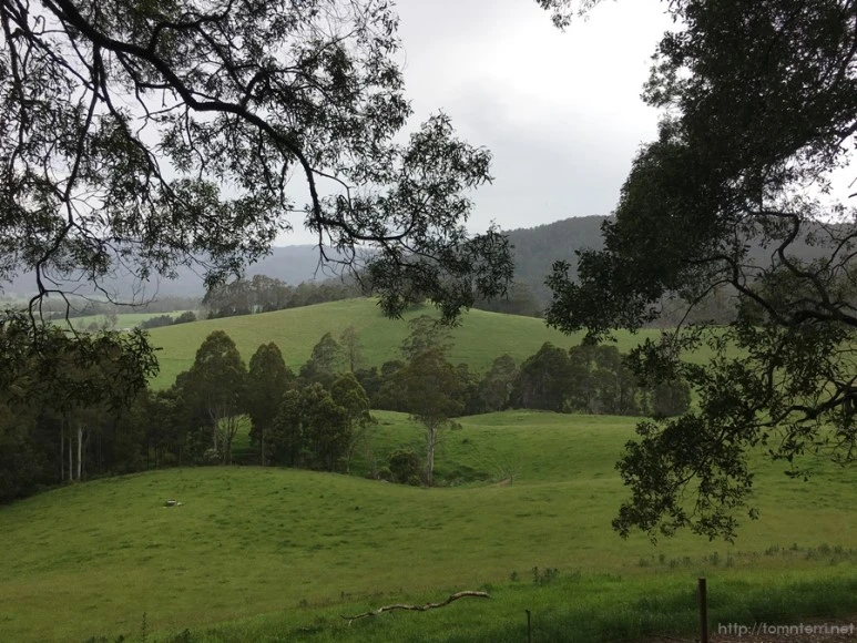 2016-11-21_at_11.52.49.jpg?type=w773