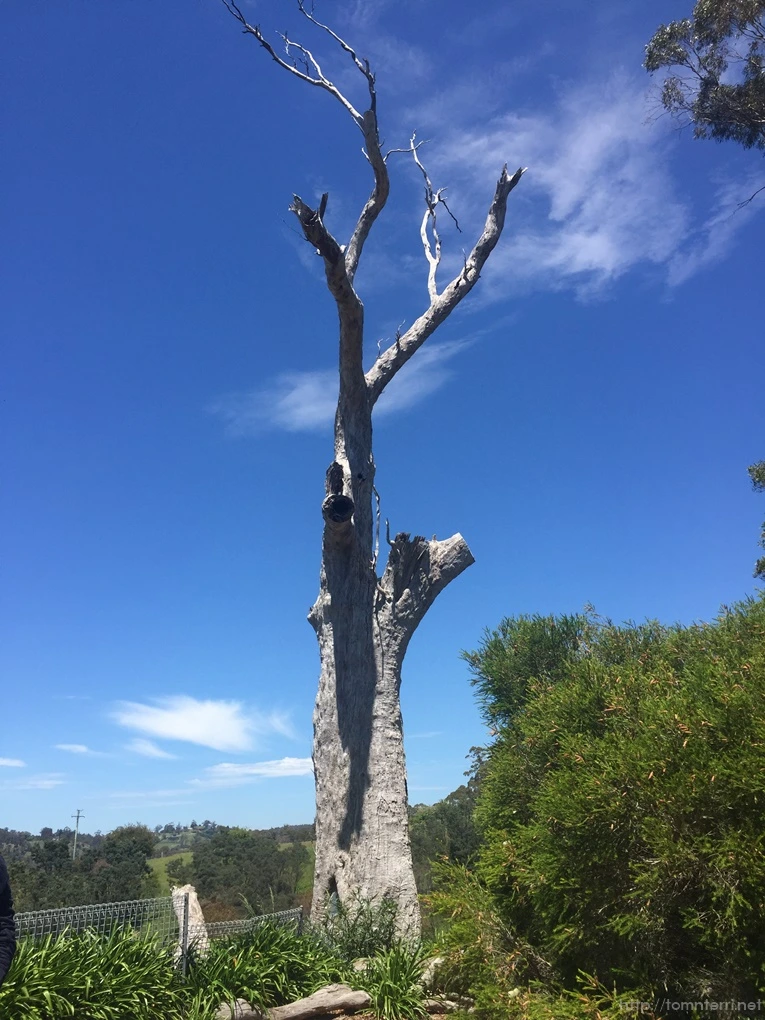 2016-11-20_at_10.41.13.jpg?type=w773