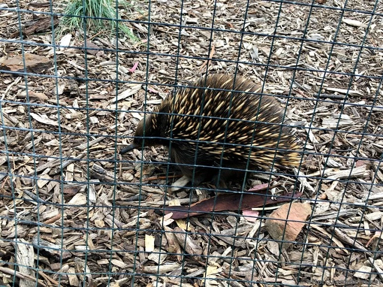 2016-11-25_at_08.26.41.jpg?type=w773