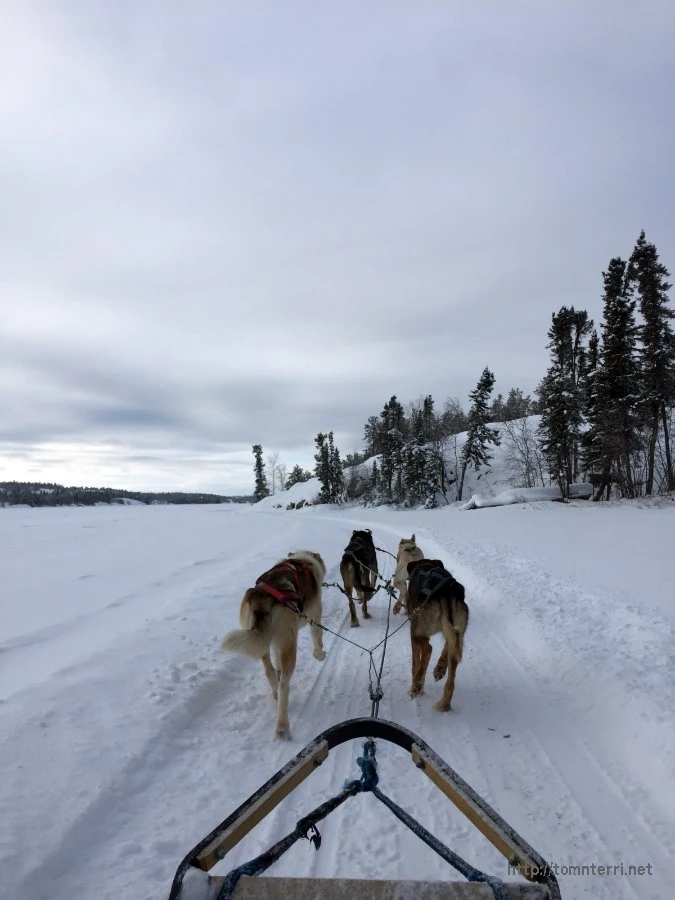 2016-02-07_at_05.49.23.jpg?type=w773