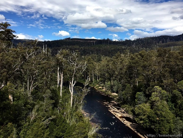 2016-11-24_at_13.25.55.jpg?type=w773