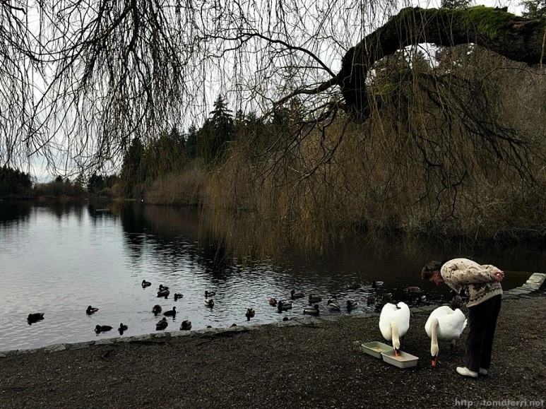 2016-02-08_at_06.18.40.jpg?type=w773