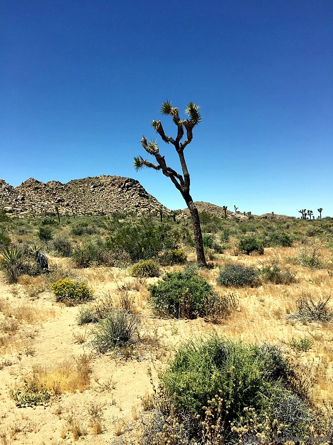 2017-05-05_at_05.04.57.jpg?type=w773