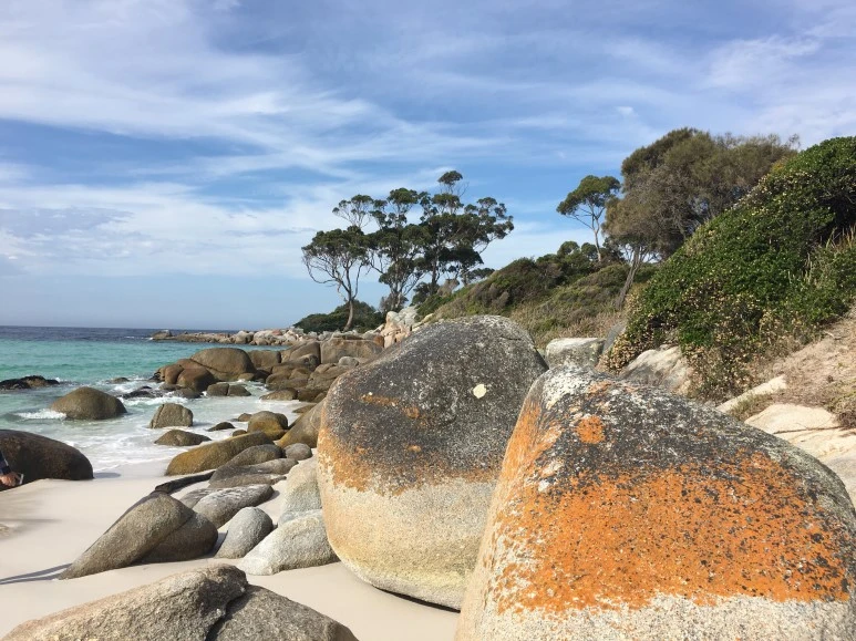 2016-11-21_at_14.57.27.jpg?type=w773