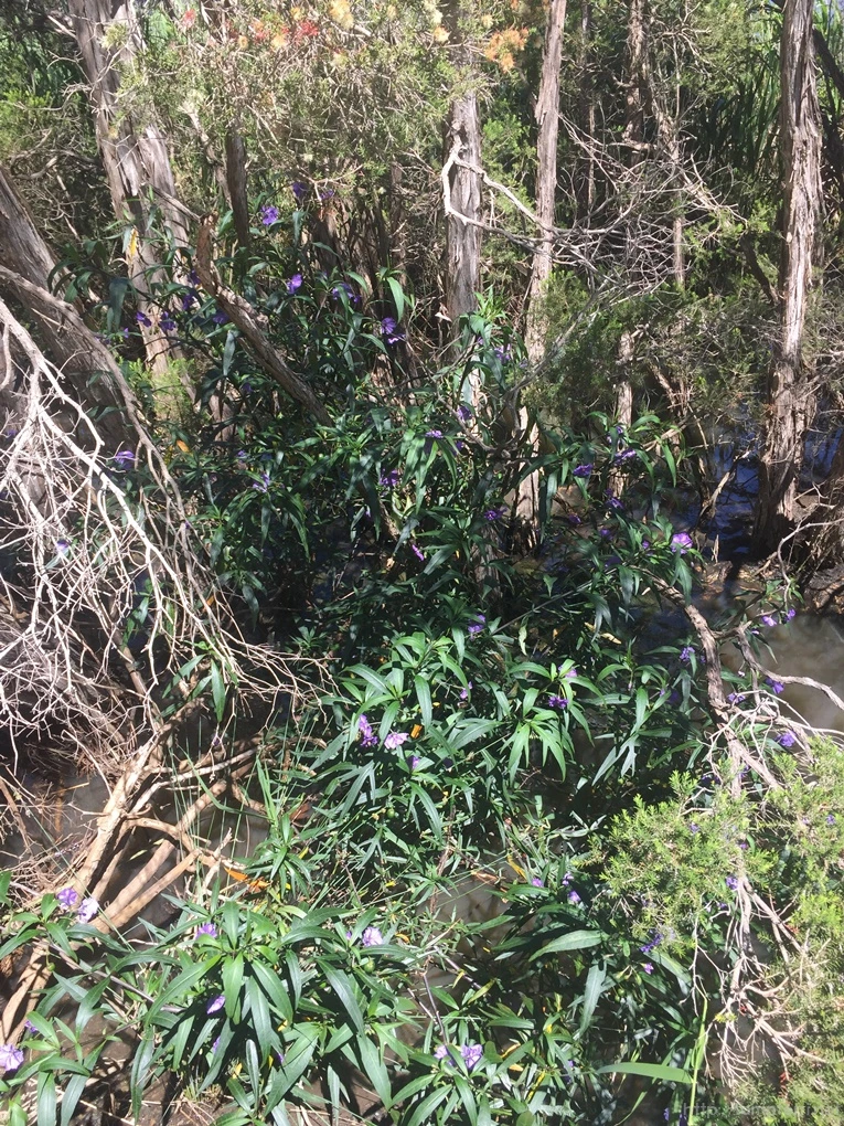 2016-11-20_at_09.47.53.jpg?type=w773