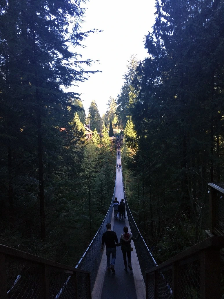 image_7096795571469348818420.jpg?type=w773