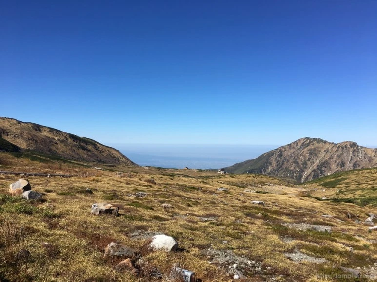 2016-10-15_at_10.05.02.jpg?type=w773