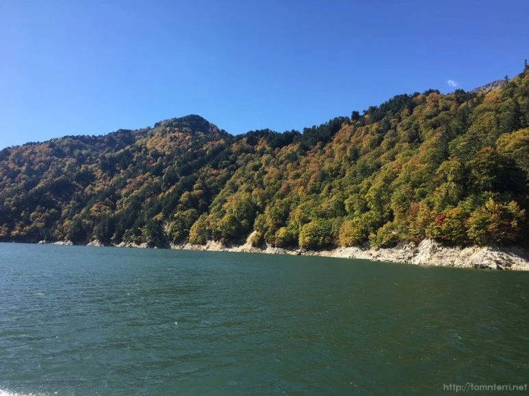 2016-10-15_at_12.27.44.jpg?type=w773