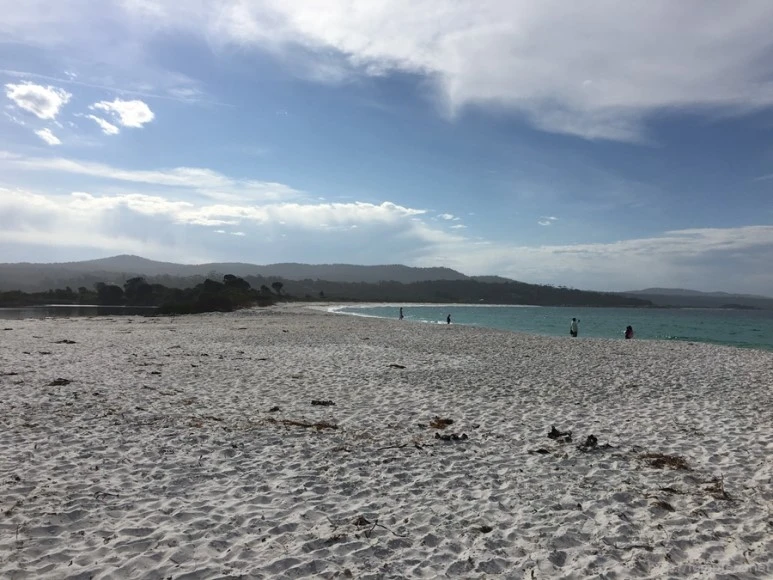 2016-11-21_at_14.49.34.jpg?type=w773