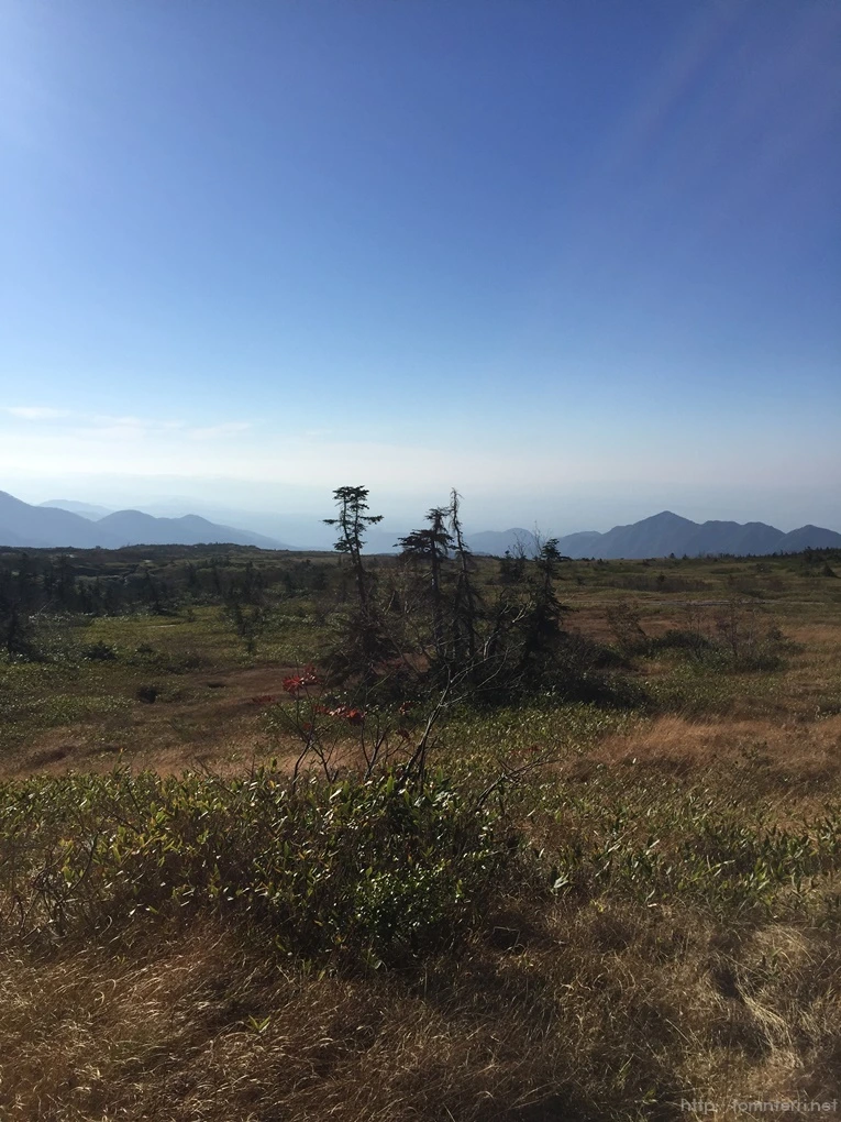 2016-10-15_at_14.47.17.jpg?type=w773