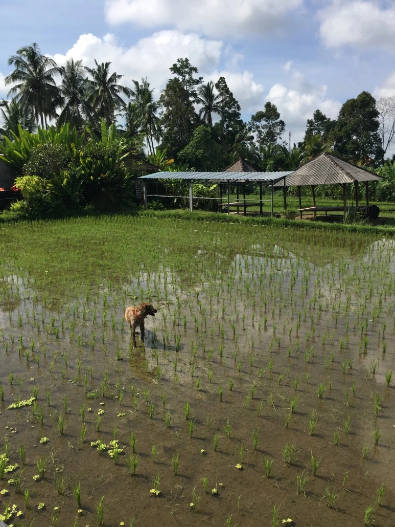 image_5237492631475592350252.jpg?type=w773