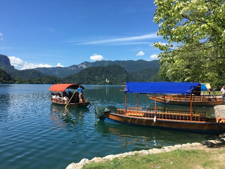 image_8935052281467472022110.jpg?type=w773