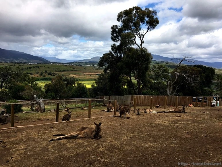 2016-11-25_at_09.07.07.jpg?type=w773