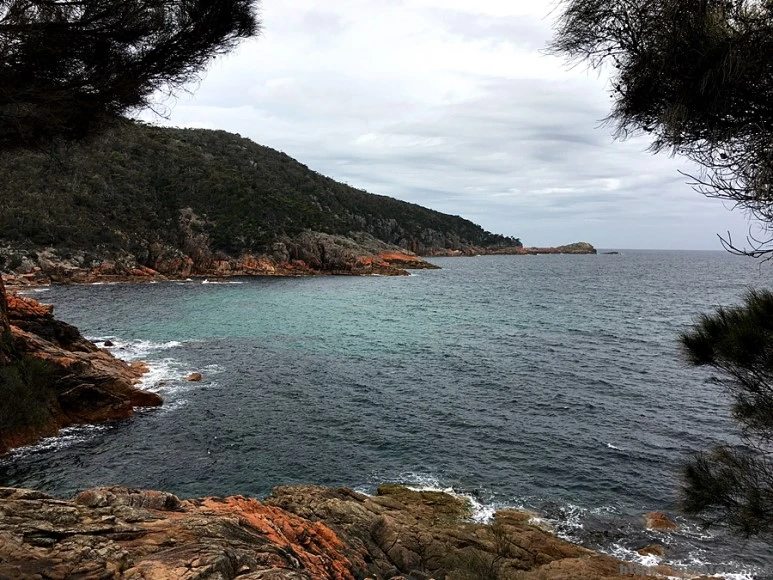 2016-11-22_at_11.32.47.jpg?type=w773