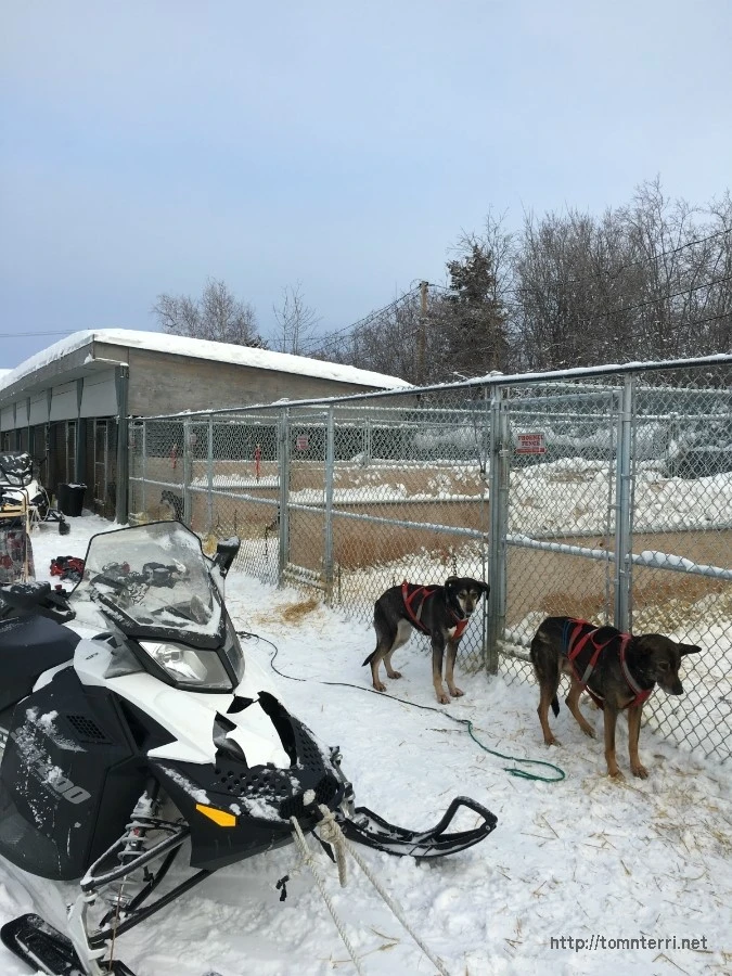 2016-02-07_at_05.38.38.jpg?type=w773