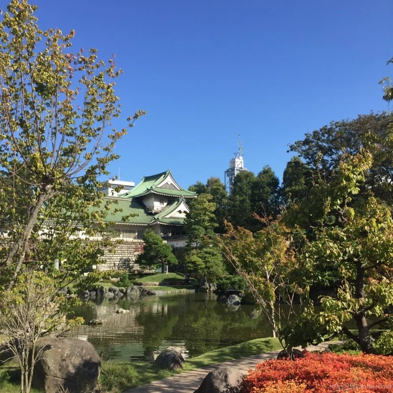 2016-10-16_at_09.25.07_2.jpg?type=w773